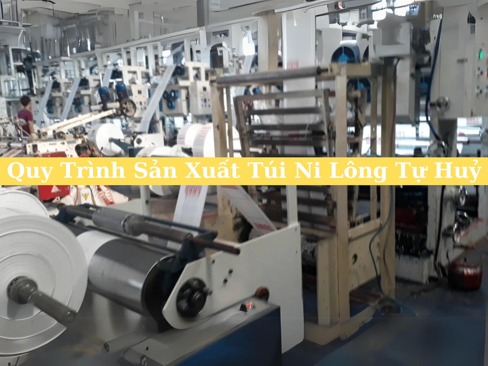 Công Nghệ Và Quy Trình Sản Xuất Túi Ni Lông Tự Huỷ