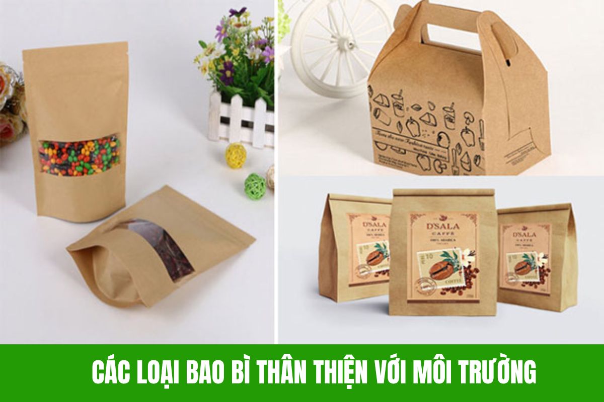 Bao bì giấy thân thiện với môi trường