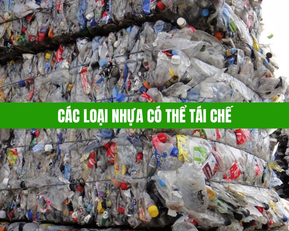 Các Loại Nhựa Có Thể Tái Chế Và Tái Sử Dụng