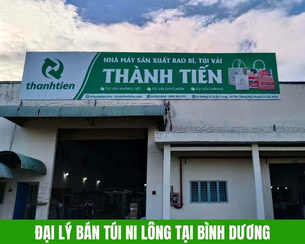 Đại Lý Bán Túi Ni Lông Bình Dương Giá Sỉ