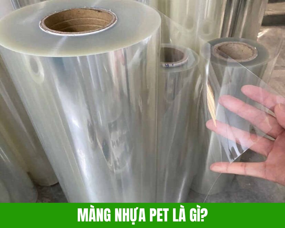 Màng PET Là Gì? Ứng Dụng và Ưu Điểm Nổi Bật Của Màng Nhựa PET