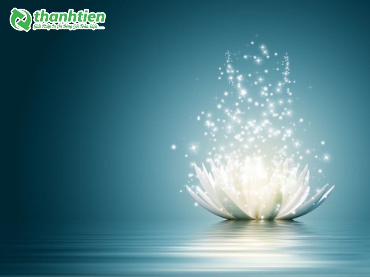 Hình background hoa sen tan biến