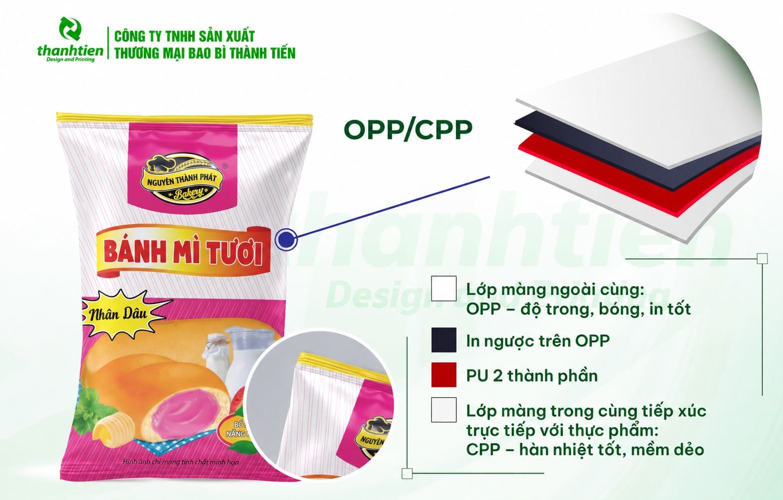 Cấu tạo chi tiết sản phẩm bao bì đựng bánh mì tươi