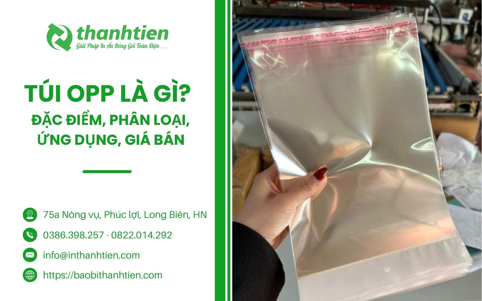 Túi OPP Là Gì? Đặc Điểm, Phân Loại, Ứng Dụng Phổ Biến