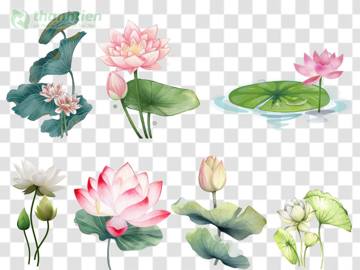 Hình nền hoa sen AI vector chuẩn đồ họa