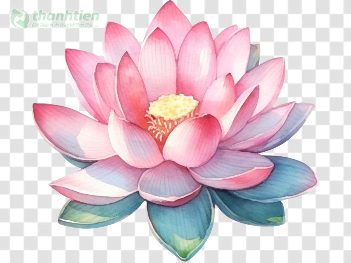 File hoa sen vector AI dùng cho in ấn, thiết kế