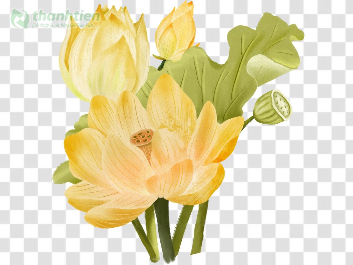 Hình nền hoa sen vector PSD chỉnh sửa dễ dàng