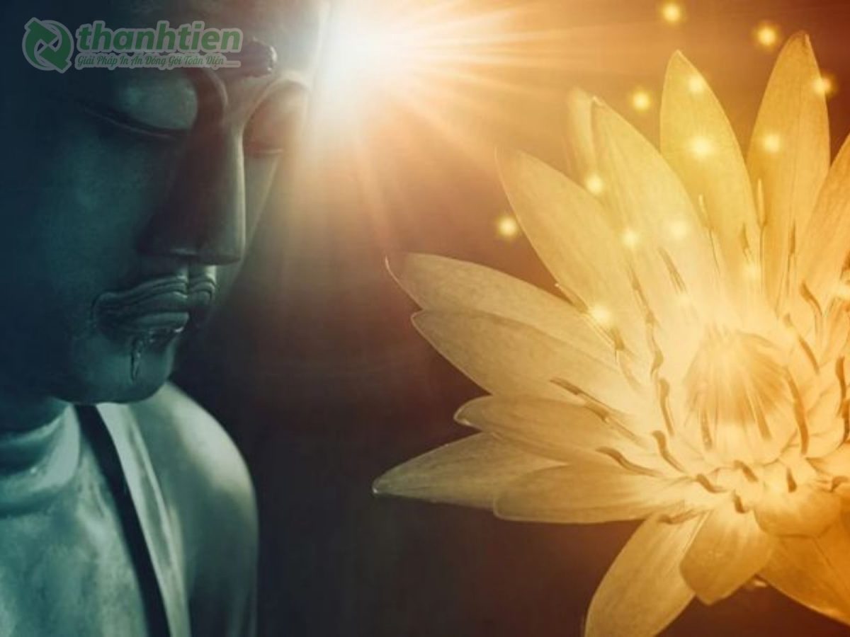 Hình nền hoa sen phật giáo đẹp sắc nét PNG