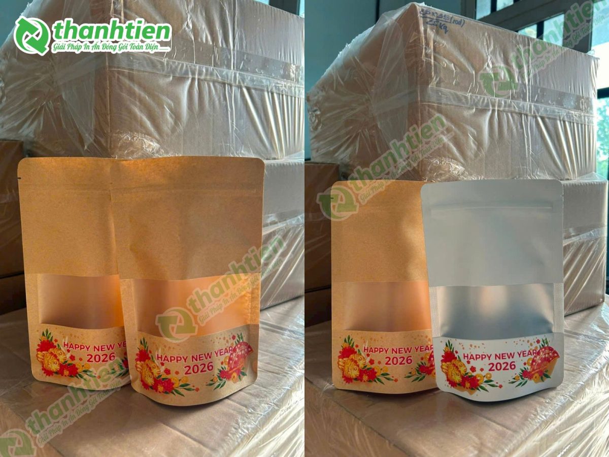 in túi zip giấy kraft