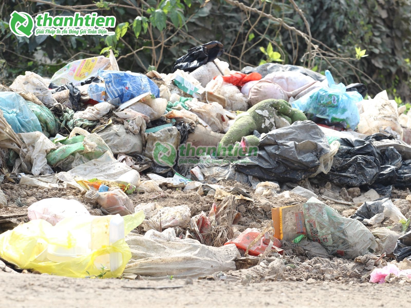 Tác hại của túi ni lông đối với con người