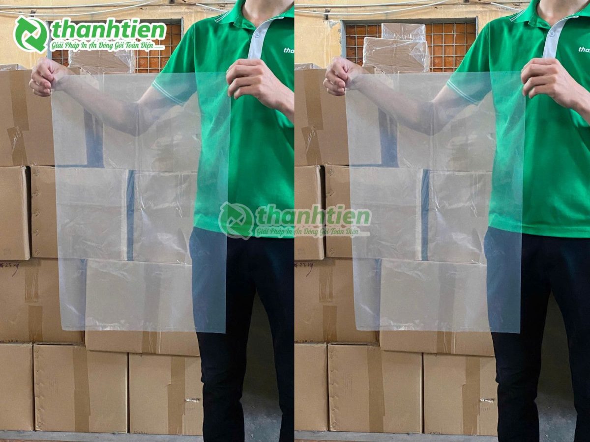 túi pe size lớn tại thành tiến