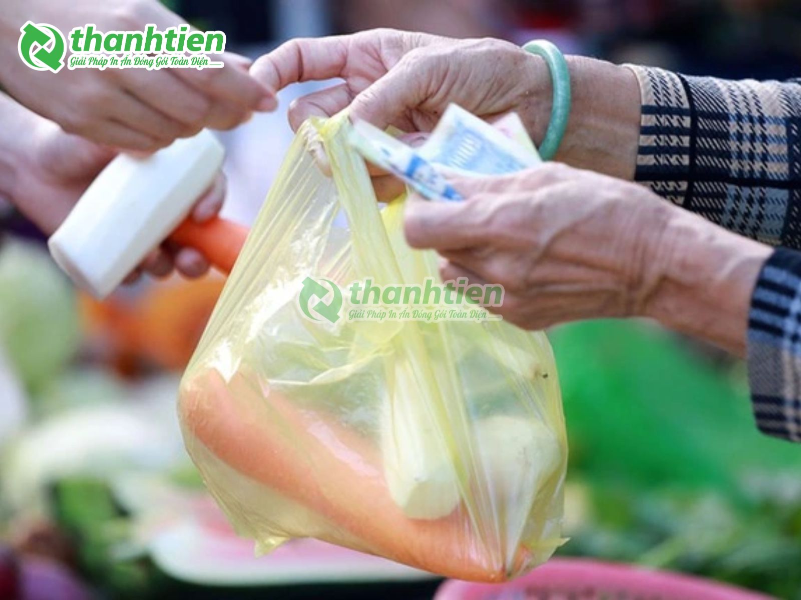 Tác động của túi ni lông đến môi trường và sức khỏe