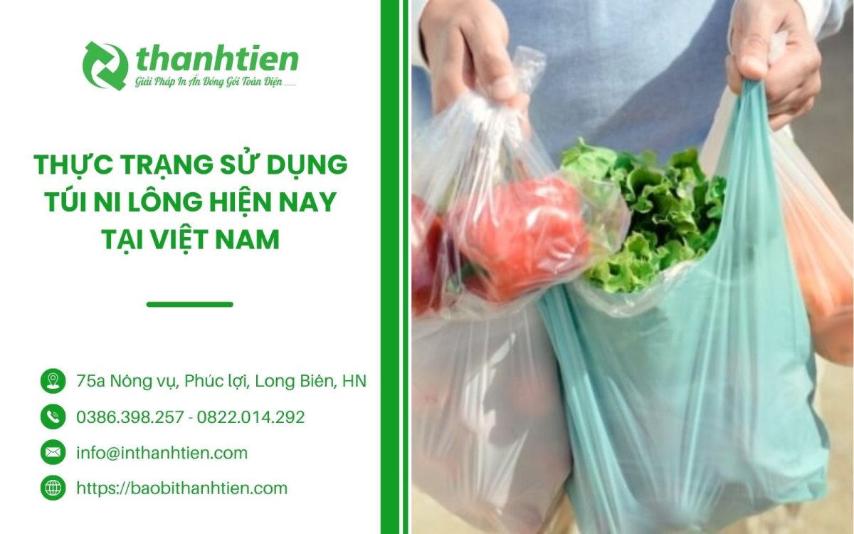 Thực Trạng Sử Dụng Túi Ni Lông Hiện Nay tại Việt Nam