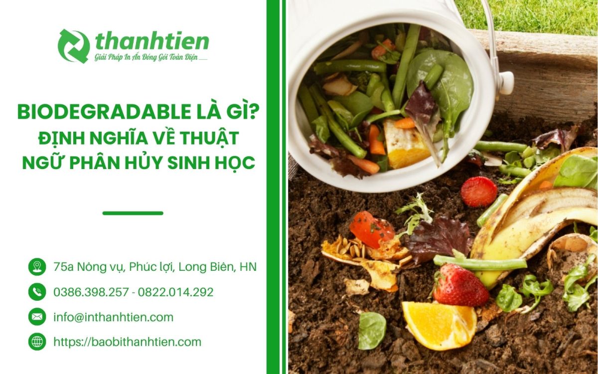 Biodegradable là gì? Định nghĩa về thuật ngữ phân hủy sinh học