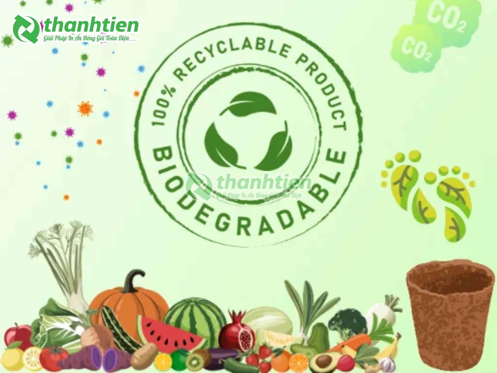 Biodegradable là gì?