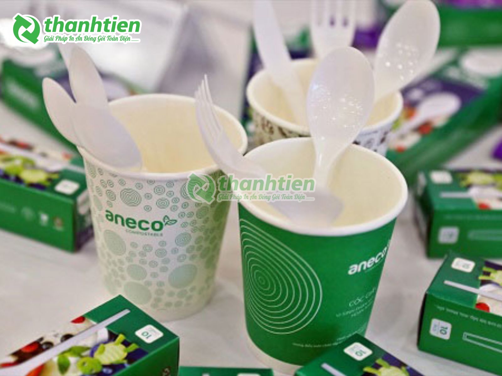 Ly, chén, bát tự phân hủy sinh học