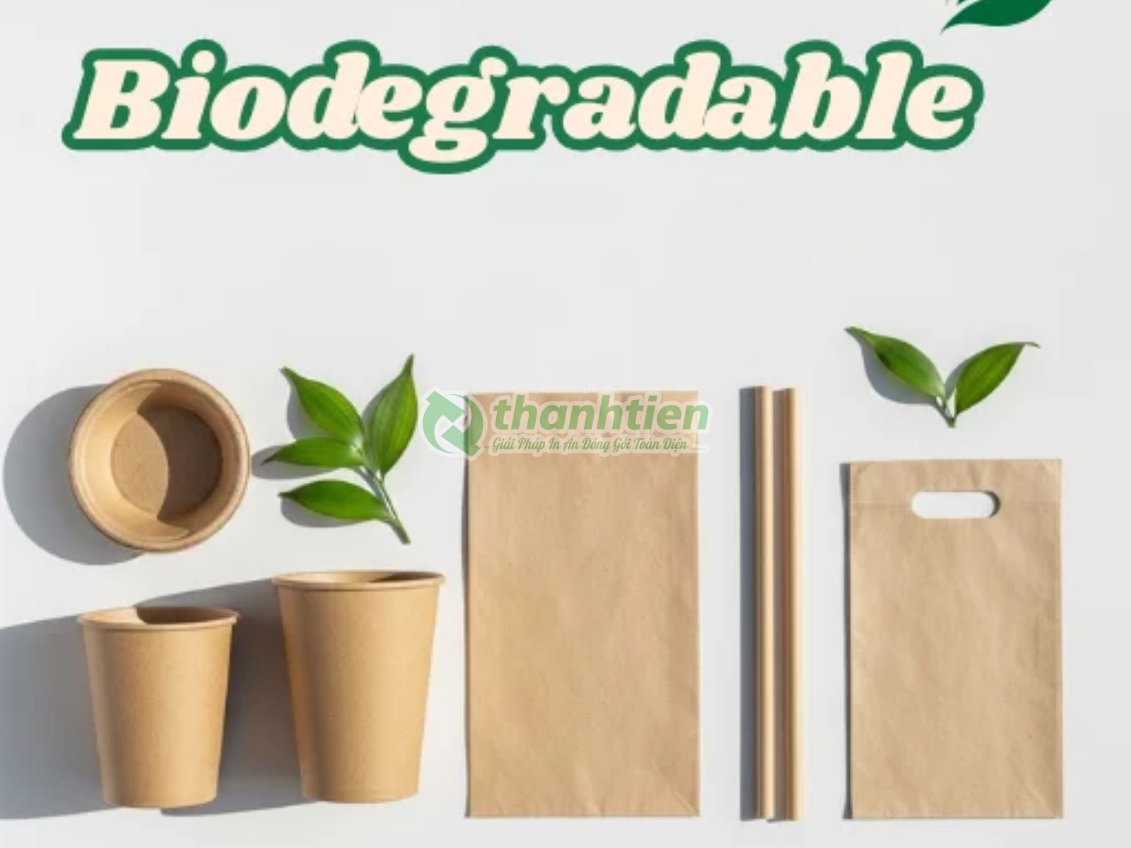 Thuật ngữ phân hủy sinh học